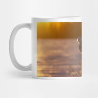 Sunset Hunter - Snowy Owl Mug